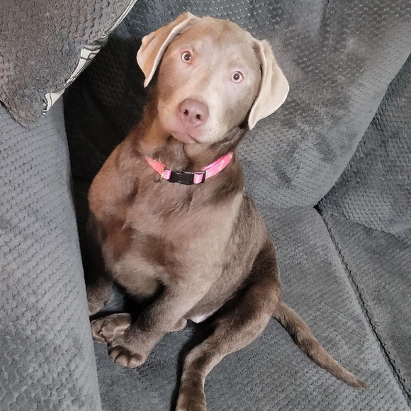 Meet your Posher, Juls - Picture 3 of 3